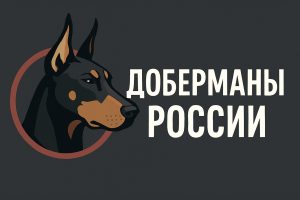 доберманы россии