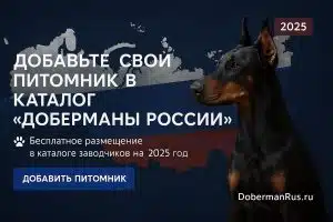 Добавить питомник доберманов