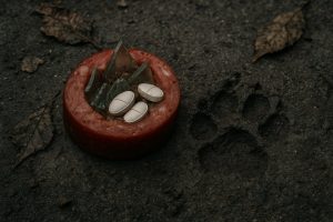 Доберман