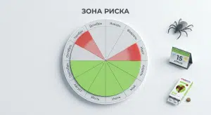 Нексгард, Симпарика