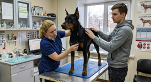 Апатия доберман