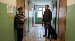 доберман конфликт с соседями