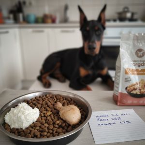 Доберман питание щенков