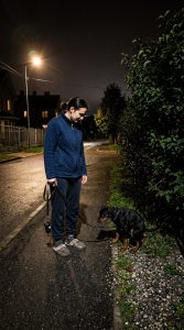 Доберман приучаем к туалету