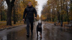 доберман прогулка