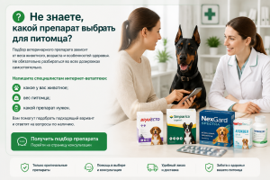 Интернет Ветаптека